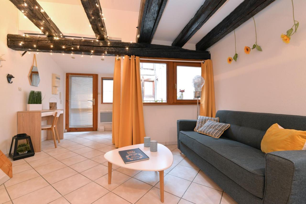 Appartement La Terrasse Sur Cour Colmar Esterno foto