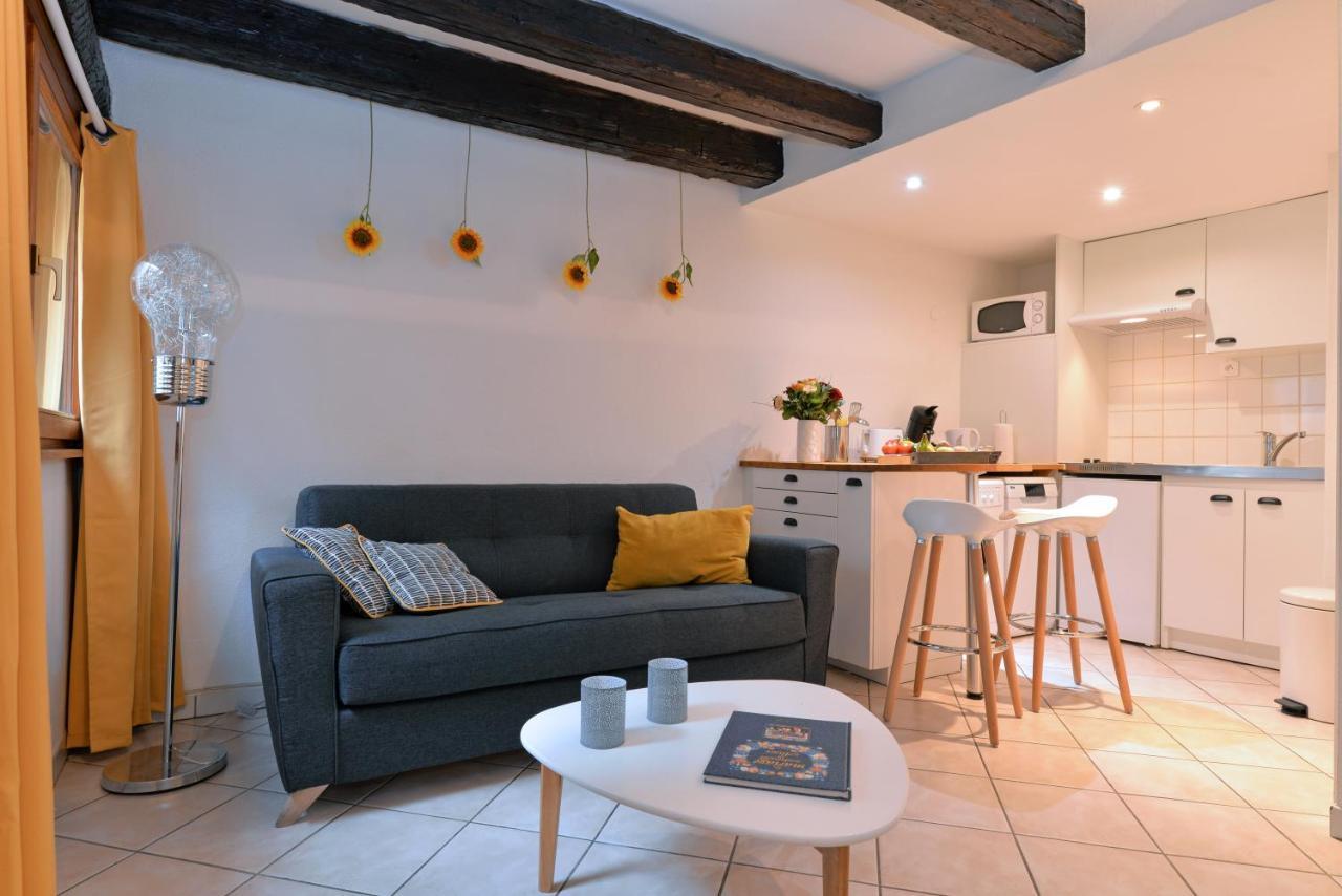 Appartement La Terrasse Sur Cour Colmar Esterno foto