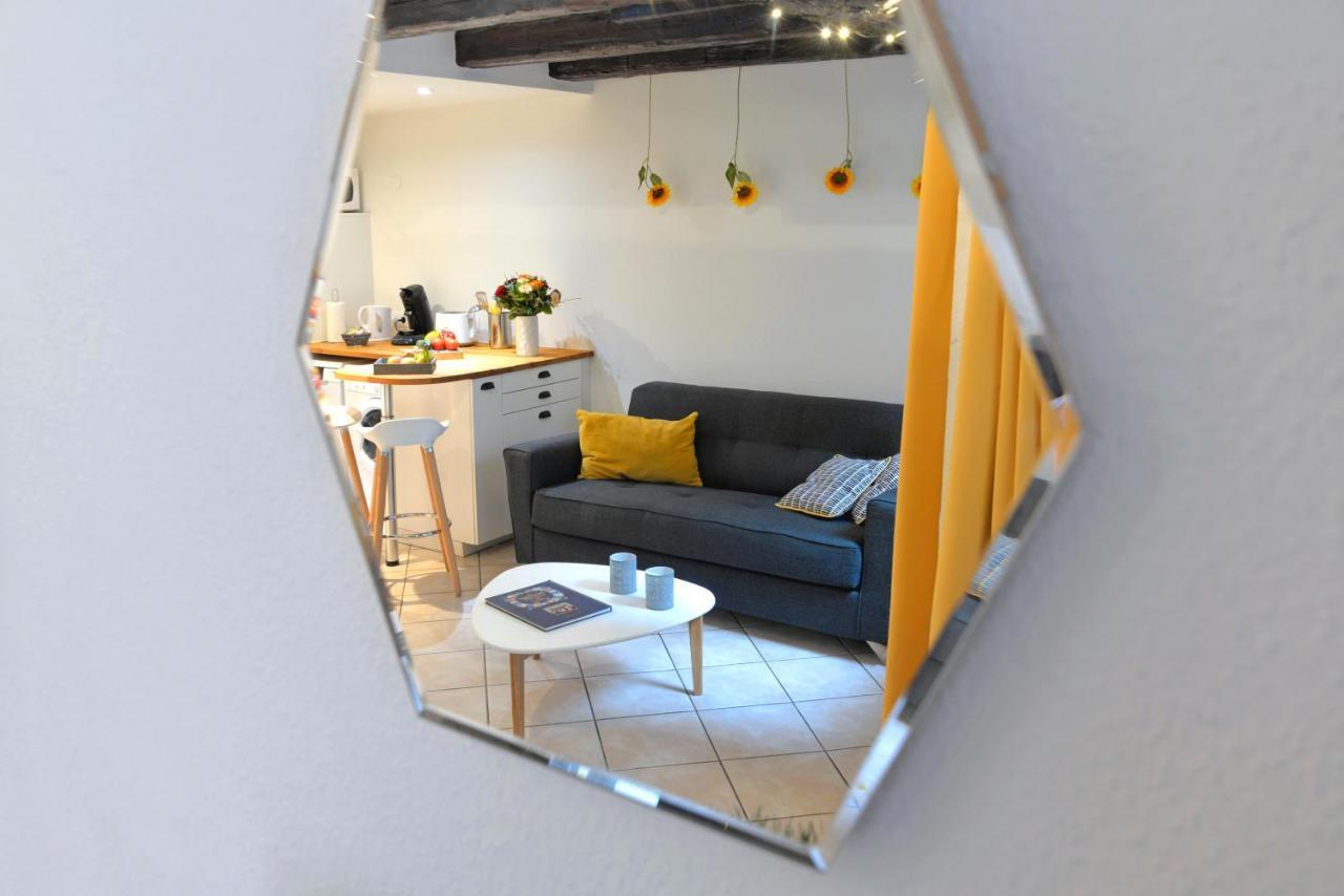 Appartement La Terrasse Sur Cour Colmar Esterno foto